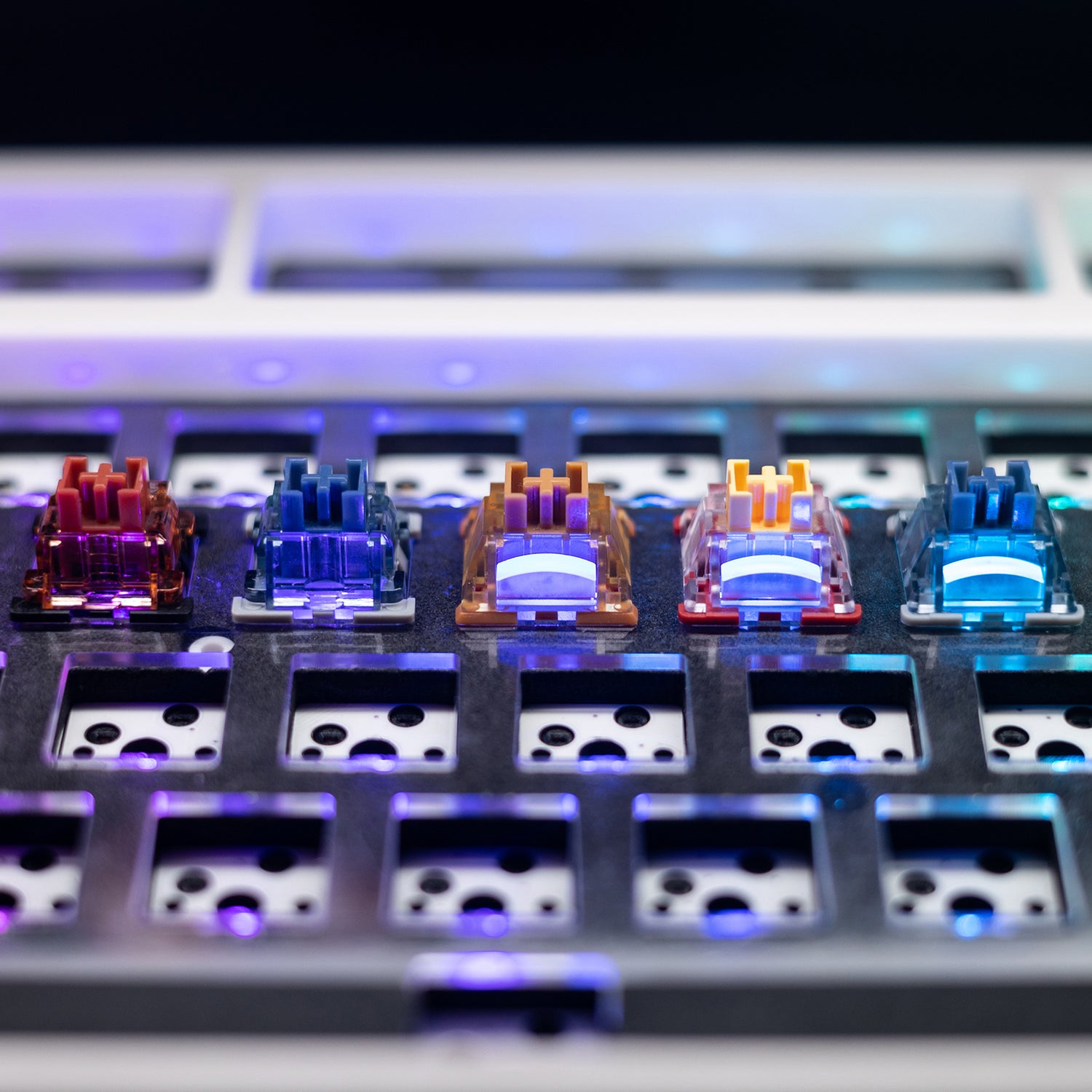 Close-up of five GamaKay mechanical keyboard switches—Griffin, Pegasus V1, Venus, Phoenix V2, and Pegasus V2—installed on a metal plate. These mechanical keyboard switches include both linear switches and tactile switches, each designed with translucent housings and RGB diffusers. The RGB effect shines vividly through the clear casings, enhancing the visual appeal of the mechanical keyboard. The silent switch variants, like the Venus and Phoenix V2, feature quiet operation while still delivering stunning, e