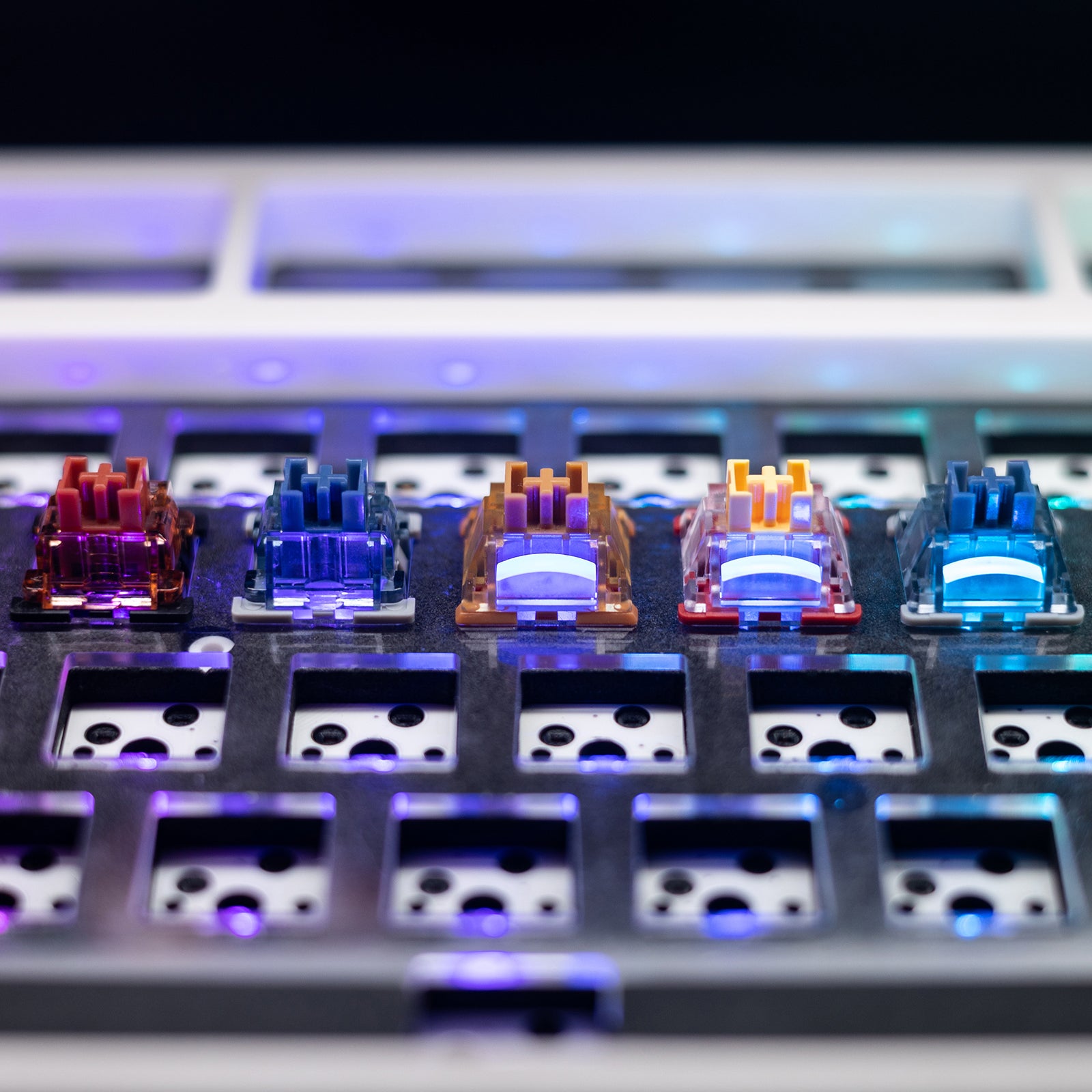 Close-up of five GamaKay mechanical keyboard switches—Griffin, Pegasus V1, Venus, Phoenix V2, and Pegasus V2—installed on a metal plate. These mechanical keyboard switches include both linear switches and tactile switches, each designed with translucent housings and RGB diffusers. The RGB effect shines vividly through the clear casings, enhancing the visual appeal of the mechanical keyboard. The silent switch variants, like the Venus and Phoenix V2, feature quiet operation while still delivering stunning, e