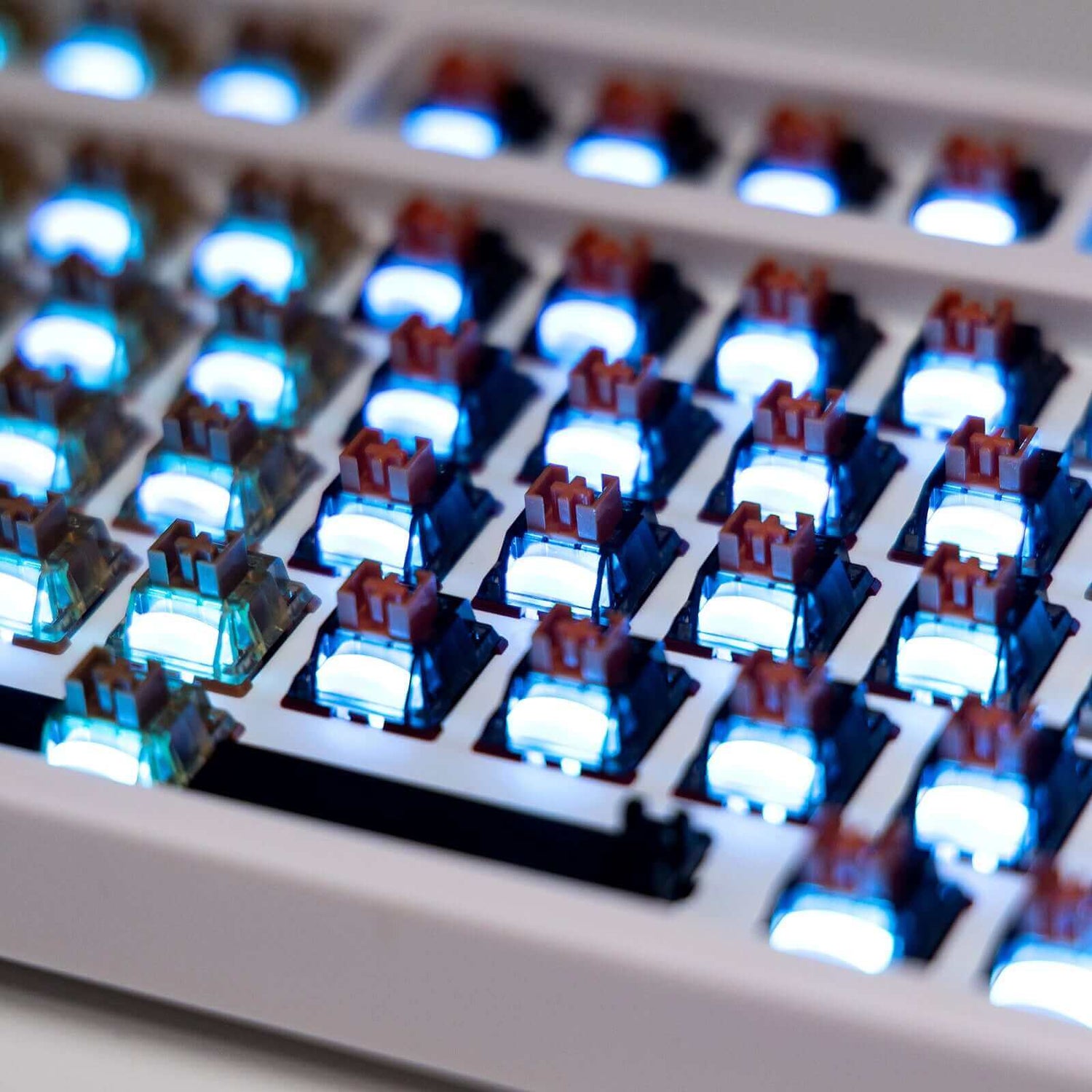 Enhance light effect teclonogy, the Gamakay planet series mechanical switches will show better light effect by using the light guide pillar which will  scale up the Improved light transmission to bring you the eyes catching RGB