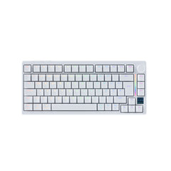 Gamakay TK75 TMR magnetic gaming keyboard, 75% layout keyboard with backlit RGB lighting and light bar, with PBT cherry profile keycaps in ISO DE layout- black