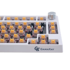 GamaKay Mechanical Silent V2 Switches (35/70 unidades) - Interruptores Silenciosos