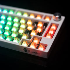 GamaKay Mechanical Silent V2 Switches (35/70 unidades) - Interruptores Silenciosos