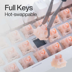 Gamakay x Naughshark NS68 hot-swappable Hall effect keyboard allows customers to change N-pole magnetic switches.