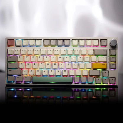 The TK75se is 75 percent keyboard, the pic is showing that the keyboard with the retro desgin keycaps and the led ligting is attractive even in the bright blackground.From the left top of the keyboard to the right bottom keys all the keyboard are shinning the RGB with different colors combination