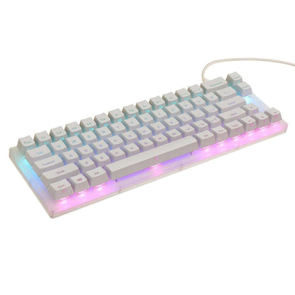 GamaKay K66 Mechanical Keyboard - Compact 60% RGB Gaming Keyboard with Hot-Swappable Gateron Switches