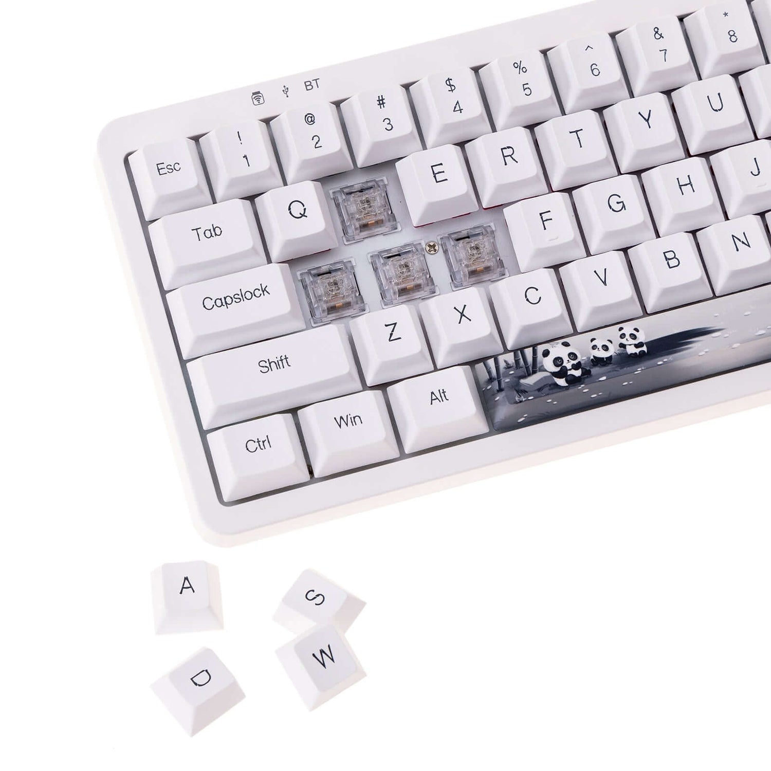 GamaKay 143 Keys Panda Keycaps Set for LK67 TK68 CK61 CK68 MK61