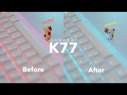 This is the review of the Gamakay K77 mechancial gaming keyboard. In this video , the review to show you the keyboard&